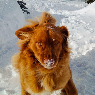 2018 Feb - The Return